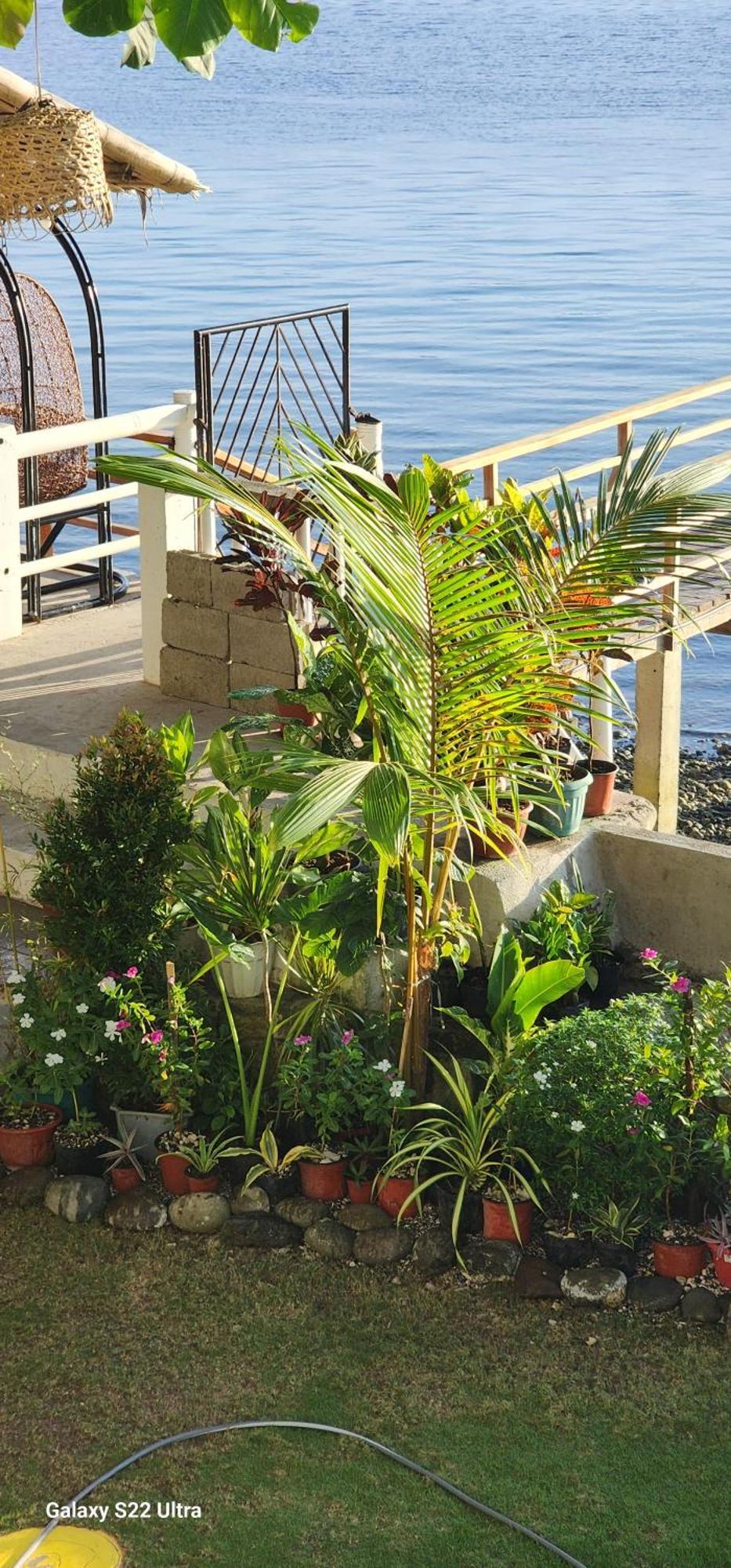 Chue&Larry'S Beachside Homestay Libagon 외부 사진